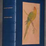 parrots_008.thumb.jpg