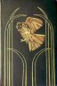 bird3.jpg - 