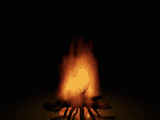 bookburning