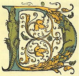 decorative letter D